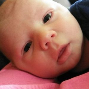 Meet your Posher, Bo